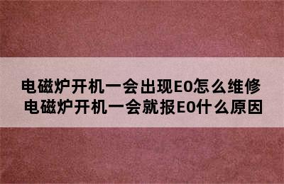 电磁炉开机一会出现E0怎么维修 电磁炉开机一会就报E0什么原因